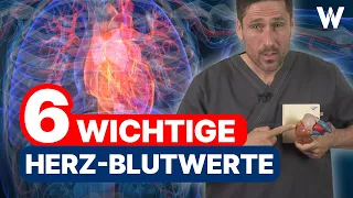 6 Herz-Blutwerte, die Sie kennen sollten: Ist Ihr Herz fit oder doch krank? Blutwerte verstehen