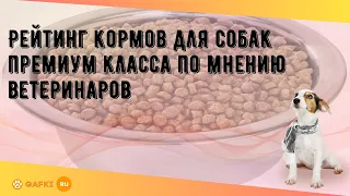 Рейтинг кормов для собак премиум класса по мнению ветеринаров