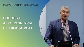 Бобовые культуры в севообороте: как использовать эффективно и уменьшить затраты