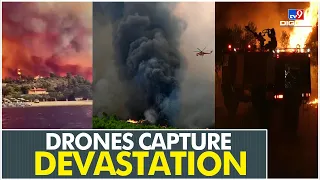 Roaring wildfires from around the world