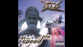 08. Xzibit - The Foundation