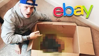 What I Got Inside This £2000 Ebay Mystery Box Disgusted Me..