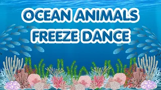 Ocean Animals Freeze Dance | Dance and Freeze