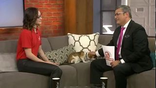 Kaetlyn Osmond on Breakfast Television