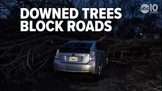 Downed trees in California rainstorm plague Sacramento neighborhoods