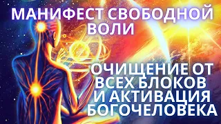 💥💫 МАНИФЕСТ СВОБОДНОЙ ВОЛИ ОЧИЩЕНИЕ ОТ ВСЕХ БЛОКОВ И АКТИВАЦИЯ БОГОЧЕЛОВЕКА / ВРАТА ЛЬВА / ЧЕННЕЛИНГ