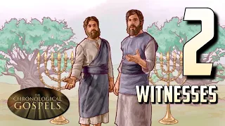 166 — Who are the 2 Witnesses / 2 Olive Trees / 2 Lampstands? [The Chronological Gospels]