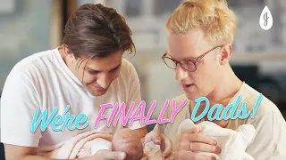 The Babies have ARRIVED! - EP1