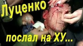 Луценко послал на ху.. и взял за воротник беркута. За что избили  Луценка?