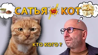 Сатья и кот... кто кого? Женское и мужское одиночество.