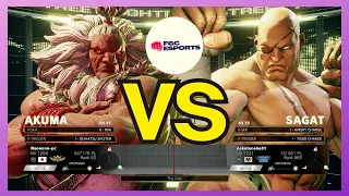 【SFV CE】Naoooonn (AKUMA) vs Nekotoneko31 (SAGAT) ▰ STREET FIGHTER V CE | High Level Gameplay