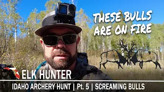 Idaho Archery Elk Hunt | Pt.5 | SCREAMING BULLS