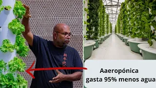 HAVY H FALA DE SE AEROPÓNICA QUE TA GASTA APENAS 95% MENOS AGUA