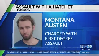 1 man arrested after alleged hatchet assault