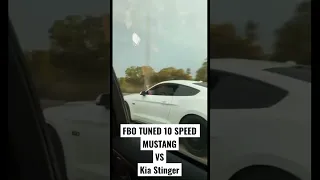 Kia Stinger vs FBO Tuned 10 Speed Mustang