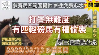 港經佬賽馬貼士及分析｜第三場參賽馬匹資料｜10-09-2023 沙田十場日馬田草賽事｜免費心水及賽馬貼士｜全方位博彩及投資頻道｜足球｜賽馬｜股票｜樓市 #賽馬貼士