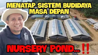 BUDIDAYA UDANG MENGGUNAKAN SISTEM NURSERY POND || MEMUTUS SIKLUS VIRUS DAN MASA BUDIDAYA