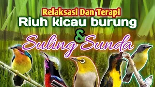 Perpaduan Harmonis suling Sunda dan kicauan burung di alam,penenang pikiran dan relaksasi