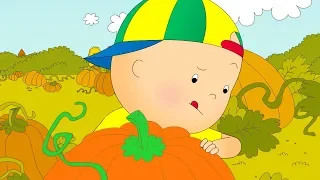 ★ Caillou's Halloween Pumpkin ★ Funny Animated Caillou | Cartoons for kids | Caillou