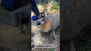 Бензопила Holzfforma G 111 (Stihl MS 200T)