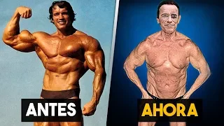 10 Cosas que no sabias de Arnold Schwarzenegger