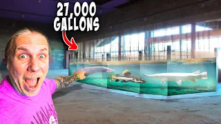 Start Of My 21,000G Fish Tank At My New Aquarium!