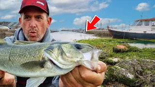 How To  Find Bass Anywhere In The UK!