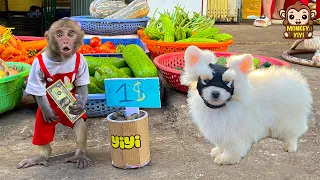 Monkey YiYi harvests snails to sell to get money to buy food for ducklings but...