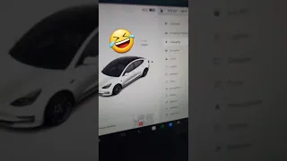 Did you know your Tesla has this voice command built in? 🤣