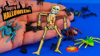 How to make Skeleton Halloween DIY decorations - Tutorial