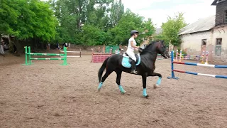 Колорит- конно-спортивный клуб, г. Шахты
