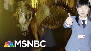 'Blood Lions' Web Extra: Bones | MSNBC