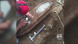 Young Girl's Casket Found Buried Underneath San Francisco Home