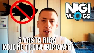 5 vrsta riba koje NIKAKO ne treba kupovati za vaš akvarijum #NigiVlogs