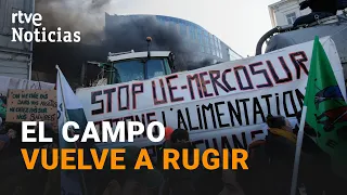 La PROTESTA de AGRICULTORES llega a BRUSELAS para que las INSTITUCIONES EUROPEAS les ESCUCHEN | RTVE