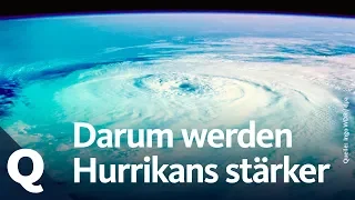 Hurrikan: Der Klimawandel vergrößert die Gefahr! | Quarks