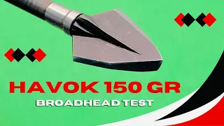 HAVOK 150 gr: Broadhead Test (Single Bevel/Double Bevel)