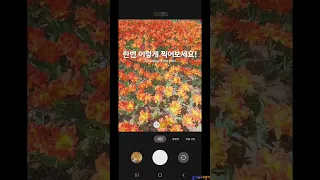 꽃밭에서 커플사진찍는 방법 #서울숲 #올리버여행기