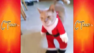 The Ultimate Christmas Fail Compilation