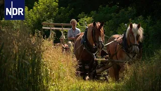 Bullerbü in Mecklenburg | die nordstory | NDR Doku