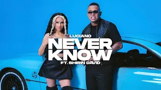 LUCIANO feat SHIRIN DAVID - NEVER KNOW - 1 Hour Version