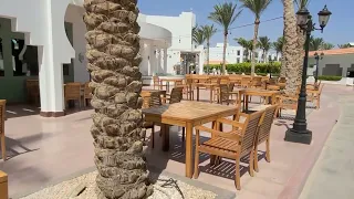 Отель Baron Palms Sharm El Sheikh, идём с пляжа на бассейн