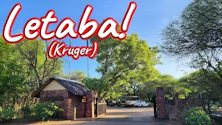 S1 – Ep 430 – Letaba Rest Camp!