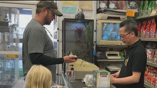 Update: San Francisco pet store that was being given away for free finds new owners