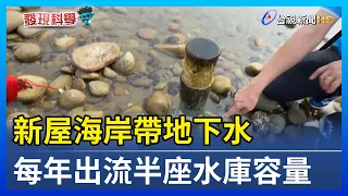 新屋海岸帶地下水 每年出流半座水庫容量