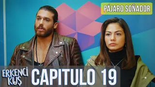 Pájaro soñador - Erkenci Kuş Capitulo 19 (Audio Español)