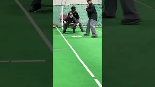 Plate umpire training - Strike 3