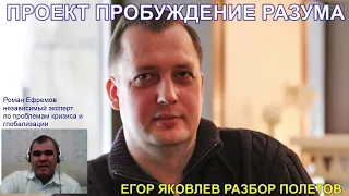 Егор Яковлев о Сталине разбор полетов