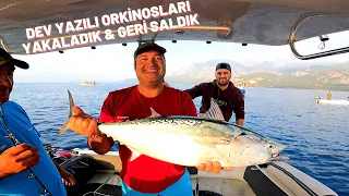 DEV YAZILI ORKİNOSLARI YAKALADIK & GERİ SALDIK  I ÇOK KEYİFLİ BİR BALIK AVI GÜNÜ I CATCH & RELEASE