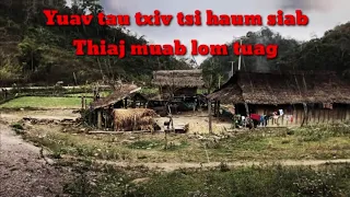 dab neeg Yuav Tau Txiv Tsi Haum siab Thiaj Muab Lom Tuag Thiaj Khaum